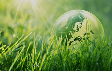 Ecologie
