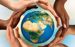 le-terme-ecologie